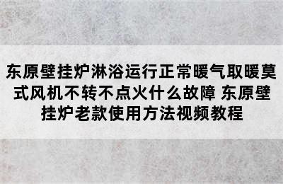 东原壁挂炉淋浴运行正常暖气取暖莫式风机不转不点火什么故障 东原壁挂炉老款使用方法视频教程